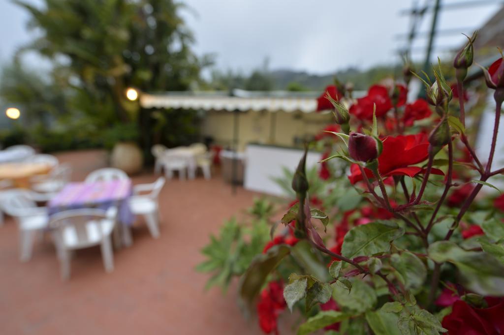Residence Elvira Diano Marina Bagian luar foto